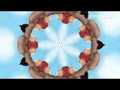 Charlie Dee - Have it All (Tiësto Remix) (Official Music Video)