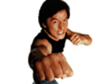Ciclo Jackie Chan