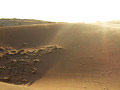 Desierto