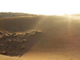 Desierto