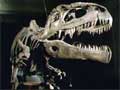 Dinosaurios