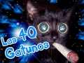 Ver este canal