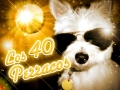 Ver este canal