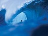 Surf