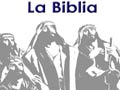 Ver este canal